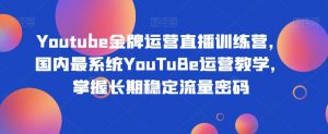 Youtube金牌运营直播训练营,国内最系统YouTuBe运营教学,掌握长期稳定流量密码-云帆项目库