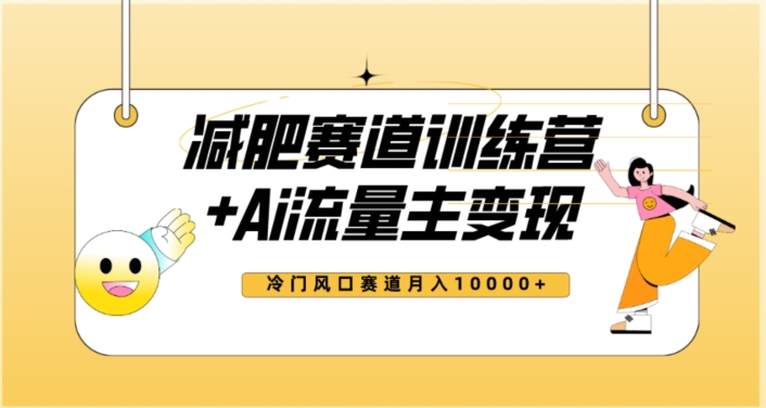 全新减肥赛道AI流量主+训练营变现玩法教程，蓝海冷门赛道小白轻松上手，月入10000+-云帆项目库