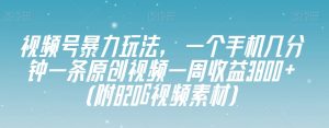 视频号暴力玩法，一个手机几分钟一条原创视频一周收益3800+（附820G视频素材）-云帆项目库