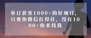 单日获客1000+的好项目，只要你微信扛得住，没有1000+你来找我【揭秘】-云帆项目库
