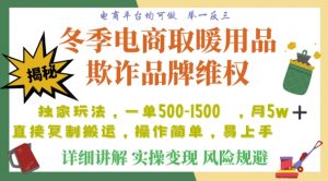 利用电商平台冬季销售取暖用品欺诈行为合理制裁店铺,单日入900+【仅揭秘】-云帆项目库