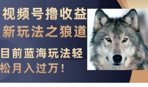 视频号撸收益新玩法之狼道,目前蓝海玩法,轻松月入过万【揭秘】-云帆项目库