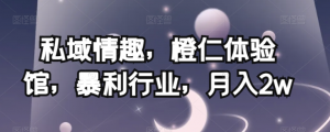 私域情趣，橙仁体验馆，暴利行业，月入2w【揭秘】-云帆项目库