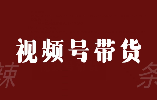 视频号带货联盟，赚信息差的带货钱，只需手机随时随地都可以做！-云帆项目库