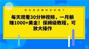 每天观看30分钟视频，一月躺赚1000+美金！保姆级教程，可放大操作【揭秘】-云帆项目库