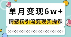 单月变现6W+，抖音情感粉引流变现实操课，小白可做，轻松上手，独家赛道【揭秘】-云帆项目库