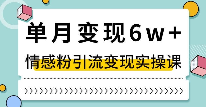 单月变现6W+，抖音情感粉引流变现实操课，小白可做，轻松上手，独家赛道【揭秘】-云帆项目库