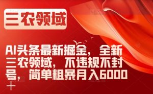 AI头条最新掘金,全新三农领域,不违规不封号,简单粗暴月入6000+【揭秘】-云帆项目库