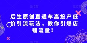 后生原创直通车高投产低价引流玩法,教你引爆店铺流量!-云帆项目库