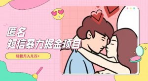 全网首发，揭秘超冷门匿名短信项目，通过信息差日入几百+【揭秘】-云帆项目库