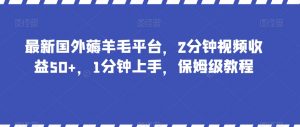 最新国外薅羊毛平台，2分钟视频收益50+，1分钟上手，保姆级教程【揭秘】-云帆项目库