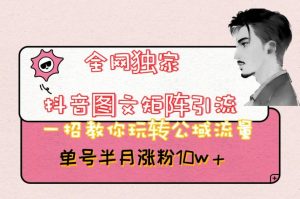 全网独家抖音图文矩阵引流,一招教你玩转公域流量,单号半月涨粉10w+【揭秘】-云帆项目库