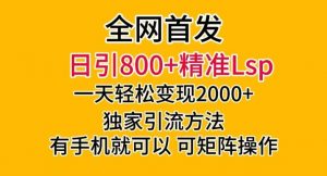 全网首发!日引800+精准老色批,一天变现2000+,独家引流方法,可矩阵操作【揭秘】-云帆项目库