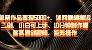 单条作品变现5000+、外网视频搬运二创，小白可上手，10分钟制作爆款高原创视频，矩阵操作【揭秘】-云帆项目库
