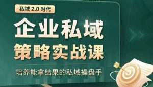 私域2.0时代:企业私域策略实战课,培养能拿结果的私域操盘手-云帆项目库