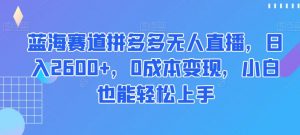 蓝海赛道拼多多无人直播,日入2600+,0成本变现,小白也能轻松上手【揭秘】-云帆项目库