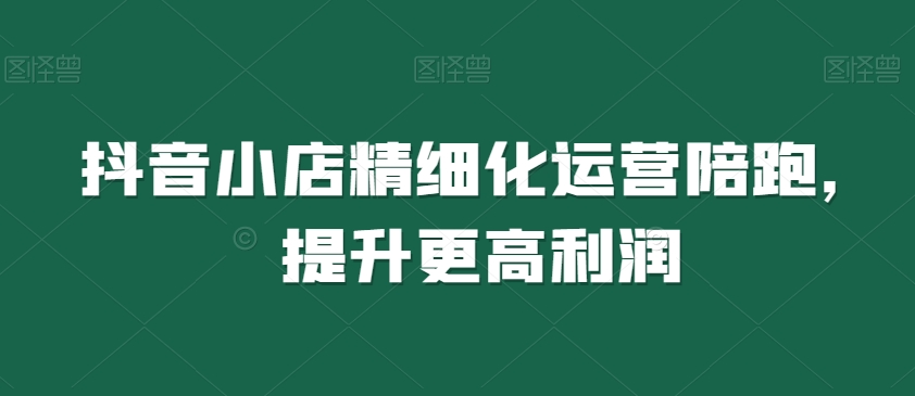 抖音小店精细化运营陪跑，提升更高利润-云帆项目库