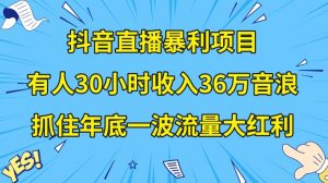 抖音直播暴利项目,有人30小时收入36万音浪,公司宣传片年会视频制作,抓住年底一波流量大红利【揭秘】-云帆项目库