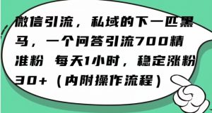 怎么搞精准创业粉？微信新赛道，每天一小时，利用Ai一个问答日引100精准粉-云帆项目库
