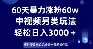 60天暴力涨粉60W，中视频另类玩法，日入3000＋，几分钟一条原创作品多种变现方式-云帆项目库