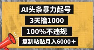 AI头条暴力起号,3天撸1000,100%不违规,复制粘贴月入6000+【揭秘】-云帆项目库