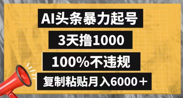 AI头条暴力起号，3天撸1000,100%不违规，复制粘贴月入6000＋【揭秘】-云帆项目库