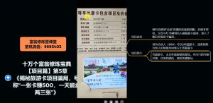 十万个富翁修炼宝典之5.揭秘旅游卡项目骗局,号称“一张卡赚500,一天能卖两三张”-云帆项目库