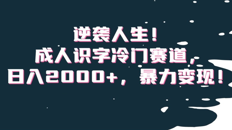 逆袭人生！成人识字冷门赛道，日入2000+，暴力变现！【揭秘】-云帆项目库