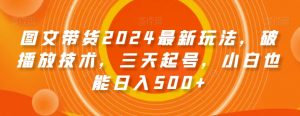 图文带货2024最新玩法，破播放技术，三天起号，小白也能日入500+【揭秘】-云帆项目库