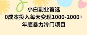 小白副业首选,0成本投入,每天变现1000-2000年底暴力冷门项目【揭秘】-云帆项目库