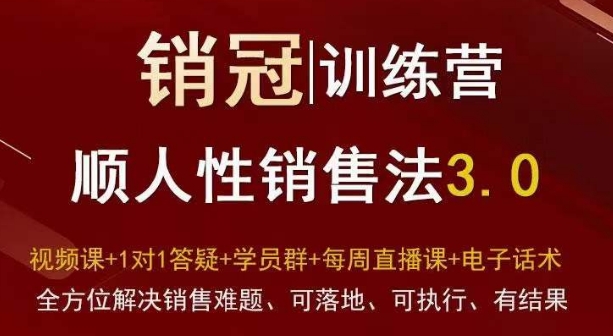 爆款！销冠训练营3.0之顺人性销售法，全方位解决销售难题、可落地、可执行、有结果-云帆项目库