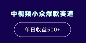 中视频小众爆款赛道，7天涨粉5万+，小白也能无脑操作，轻松月入上万【揭秘】-云帆项目库