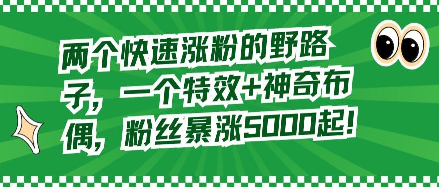 两个快速涨粉的野路子，一个特效+神奇布偶，粉丝暴涨5000起【揭秘】-云帆项目库