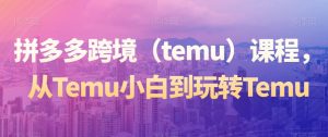 拼多多跨境(temu)课程,从Temu小白到玩转Temu-云帆项目库