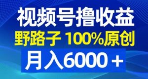 视频号野路子撸收益，100%原创，条条爆款，月入6000＋【揭秘】-云帆项目库