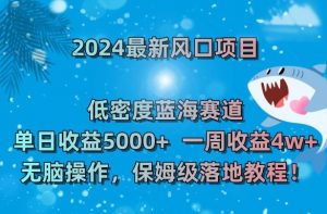 2024最新风口项目，低密度蓝海赛道，单日收益5000+，一周收益4w+！【揭秘】-云帆项目库