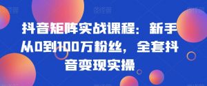 抖音矩阵实战课程:新手从0到100万粉丝,全套抖音变现实操-云帆项目库