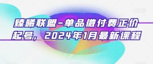 臻曦联盟-单品微付费正价起号，2024年1月最新课程-云帆项目库