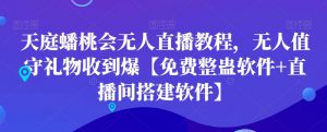 天庭蟠桃会无人直播教程，无人值守礼物收到爆【免费整蛊软件+直播间搭建软件】-云帆项目库