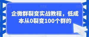 企微群裂变实战教程,低成本从0裂变100个群的-云帆项目库