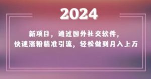 2024新项目,通过国外社交软件,快速涨粉精准引流,轻松做到月入上万【揭秘】-云帆项目库
