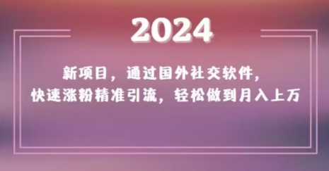2024新项目，通过国外社交软件，快速涨粉精准引流，轻松做到月入上万【揭秘】-云帆项目库
