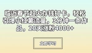 临近春节超火存钱打卡,轻松引爆小红薯流量,3分钟一条作品,20天涨粉4000+【揭秘】-云帆项目库