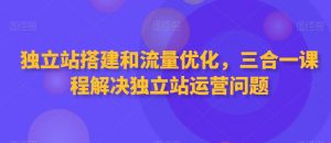 独立站搭建和流量优化,三合一课程解决独立站运营问题-云帆项目库