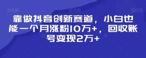 靠做抖音创新赛道,小白也能一个月涨粉10万+,回收账号变现2万+【揭秘】-云帆项目库