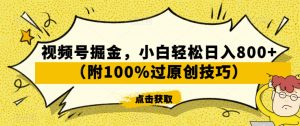 视频号掘金,小白轻松日入800+(附100%过原创技巧)【揭秘】-云帆项目库