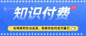2024最新知识付费项目,小白也能轻松入局,全网都在教你做项目,我教你做镰刀【揭秘】-云帆项目库
