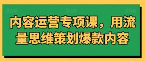 内容运营专项课,用流量思维策划爆款内容-云帆项目库