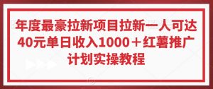 年度最豪拉新项目拉新一人可达40元单日收入1000+红薯推广计划实操教程【揭秘】-云帆项目库