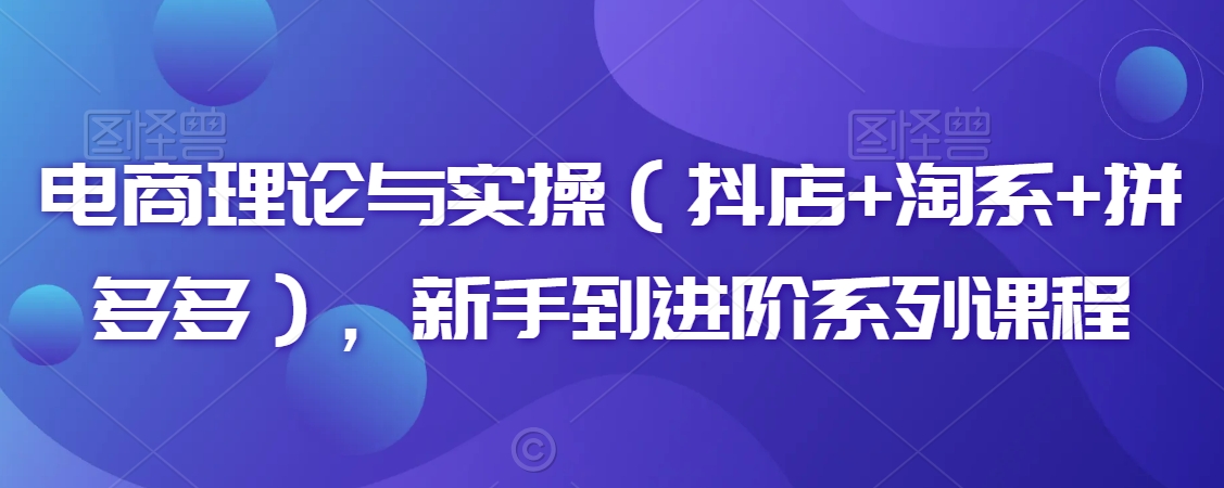 电商理论与实操（抖店+淘系+拼多多），新手到进阶系列课程-云帆项目库